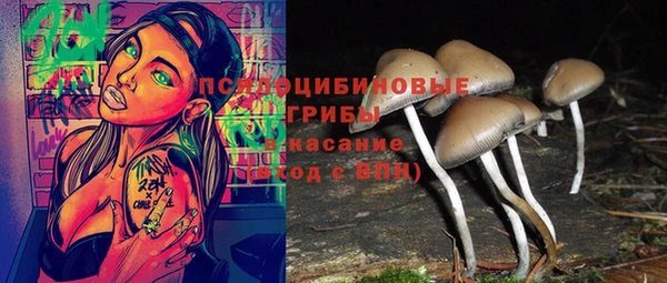 Альфа ПВП Алзамай