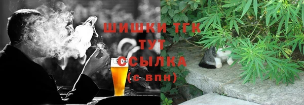 дмт Алексин
