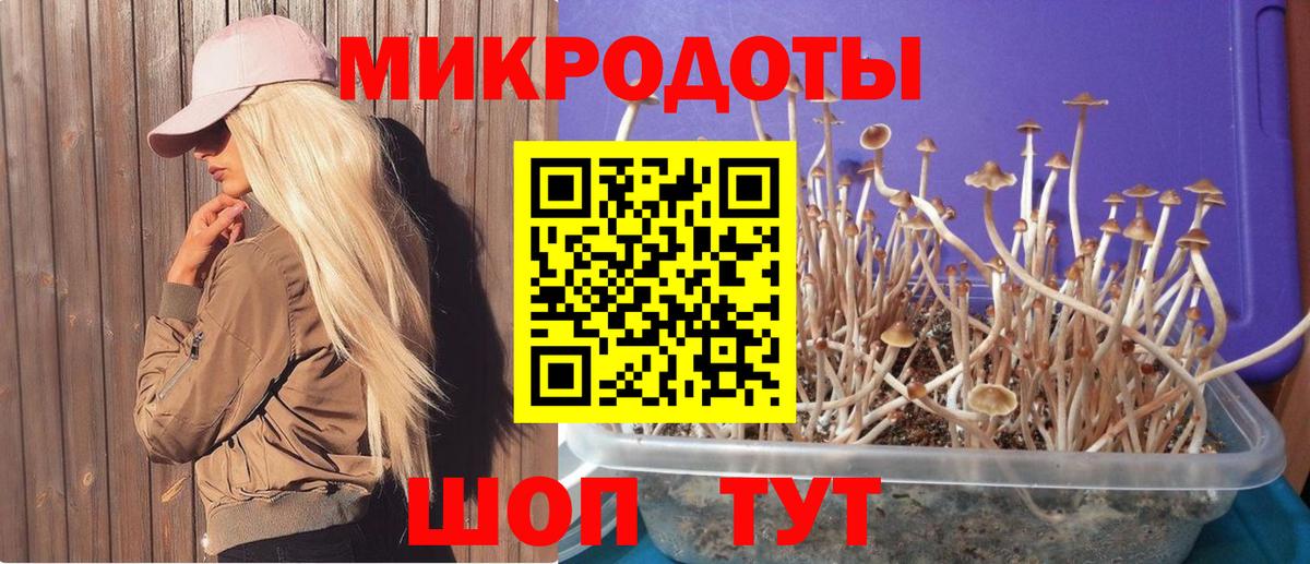 Галлюциногенные грибы MAGIC MUSHROOMS  Вход с VPN  Комсомольск-на-Амуре  Псилоцибиновые грибы Psilocybe 