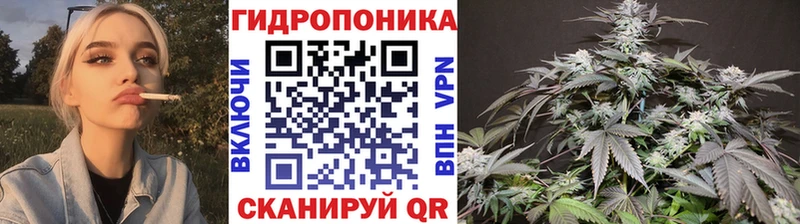 купить  цена  Комсомольск-на-Амуре  Шишки марихуана Bruce Banner 